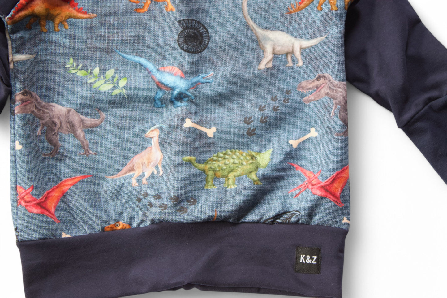 Vibrant Dino Sweater - Grow With Me