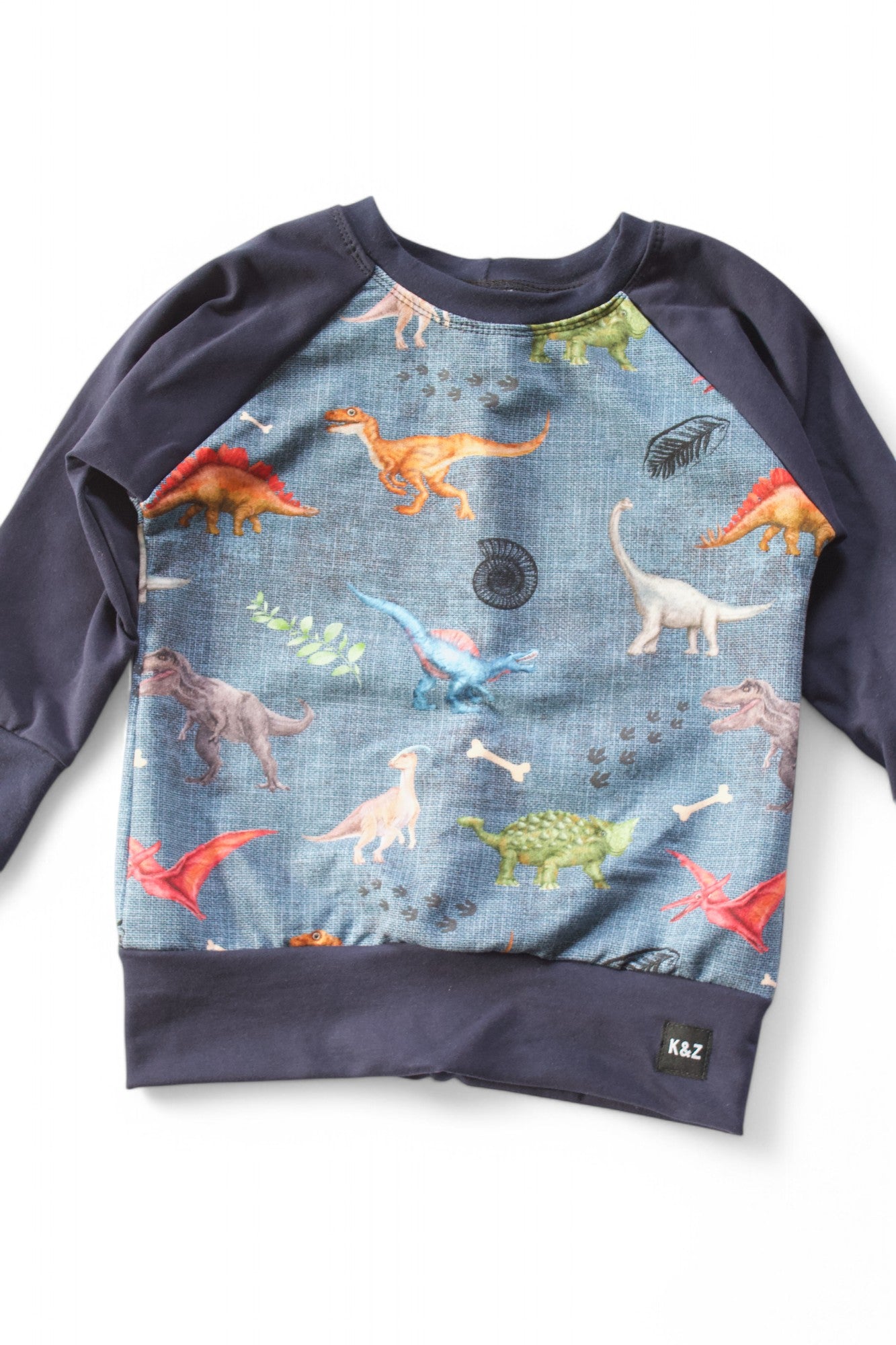 Vibrant Dino Sweater - Grow With Me