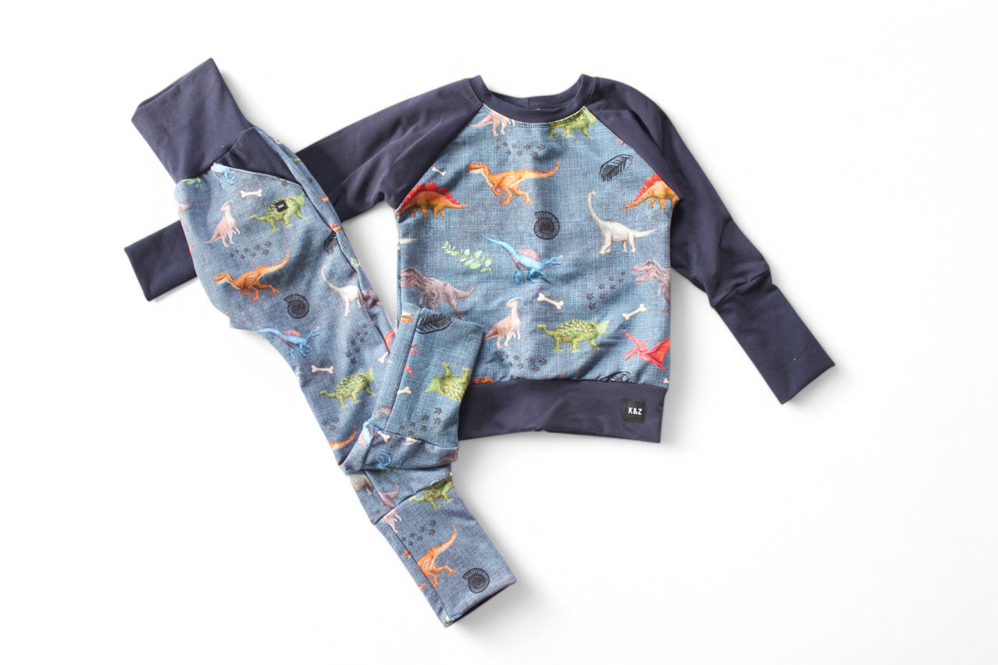 Vibrant Dino Sweater - Grow With Me