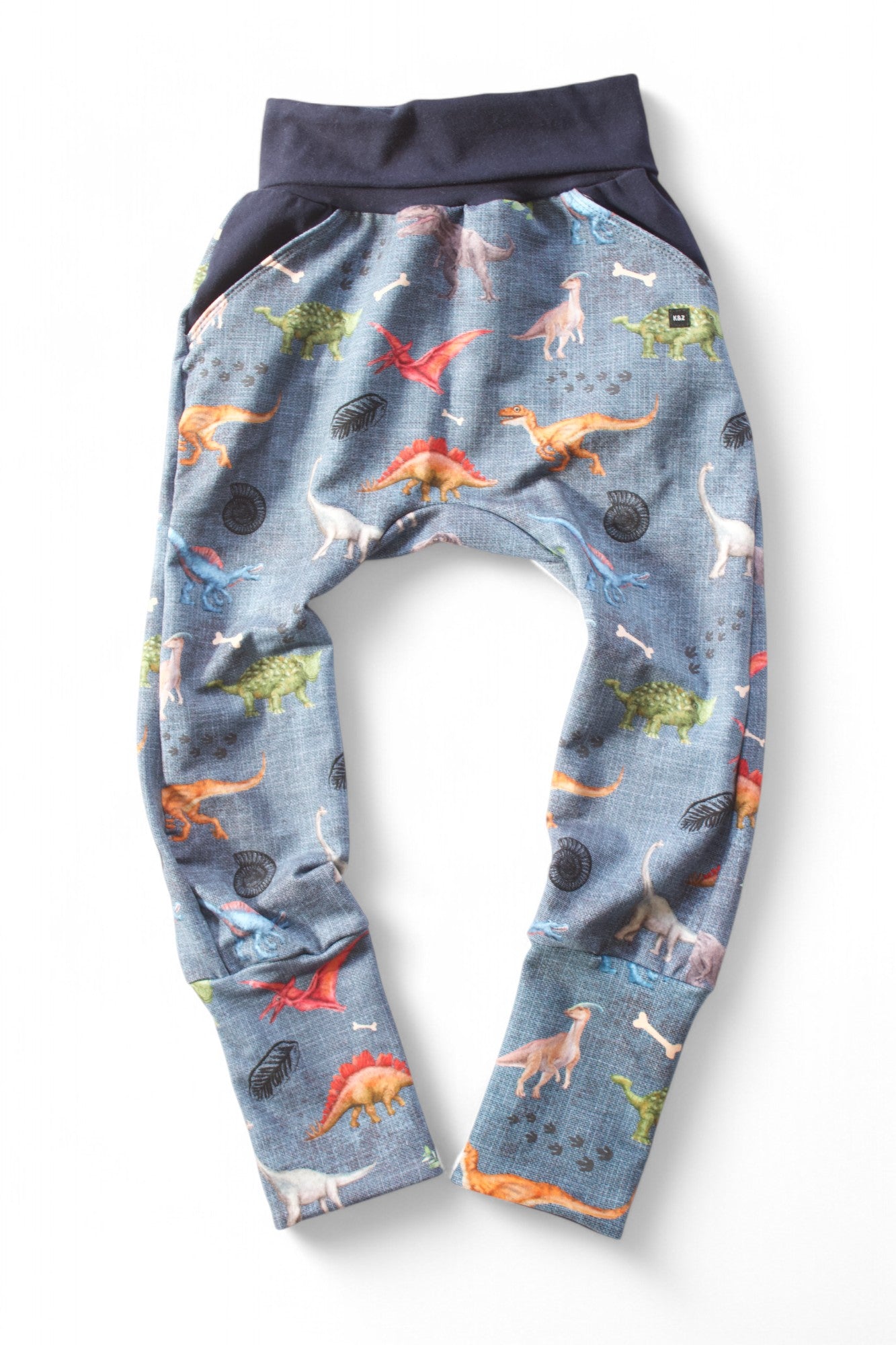 Vibrant Dino Joggers - Grow With Me