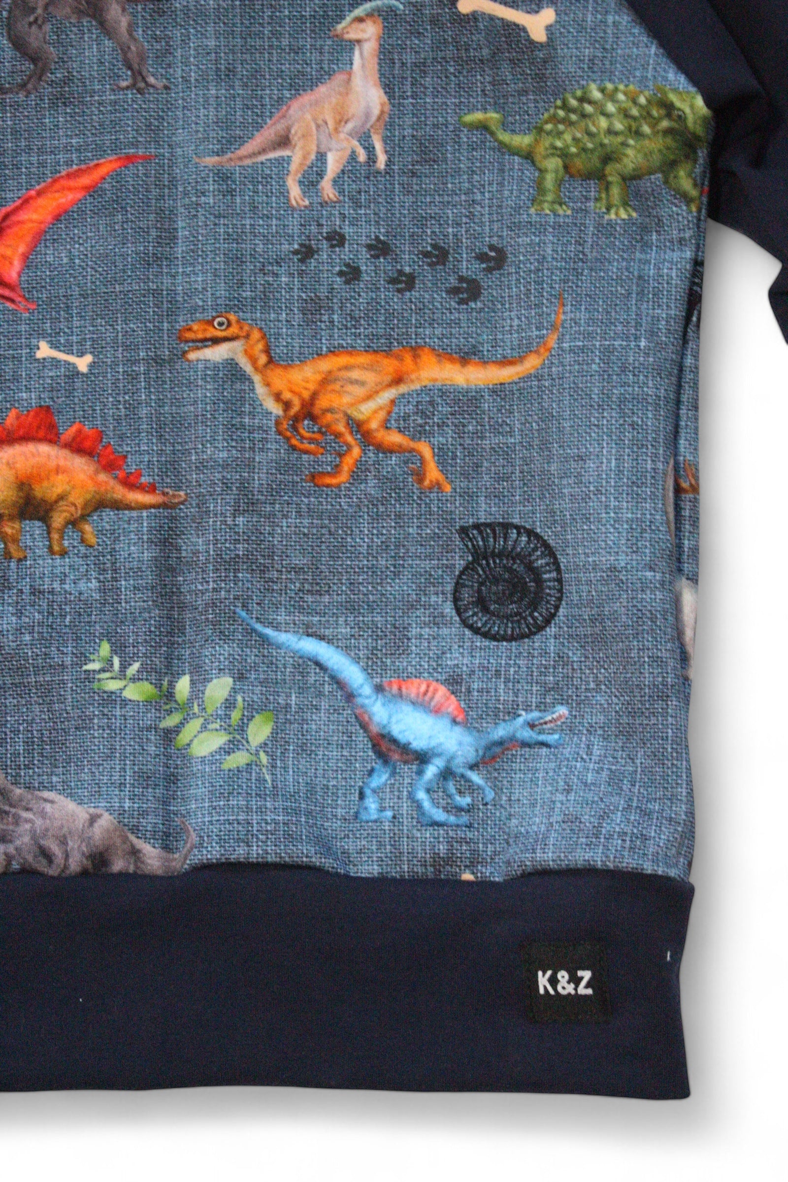 Vibrant Dino Hoodie - Grow With Me