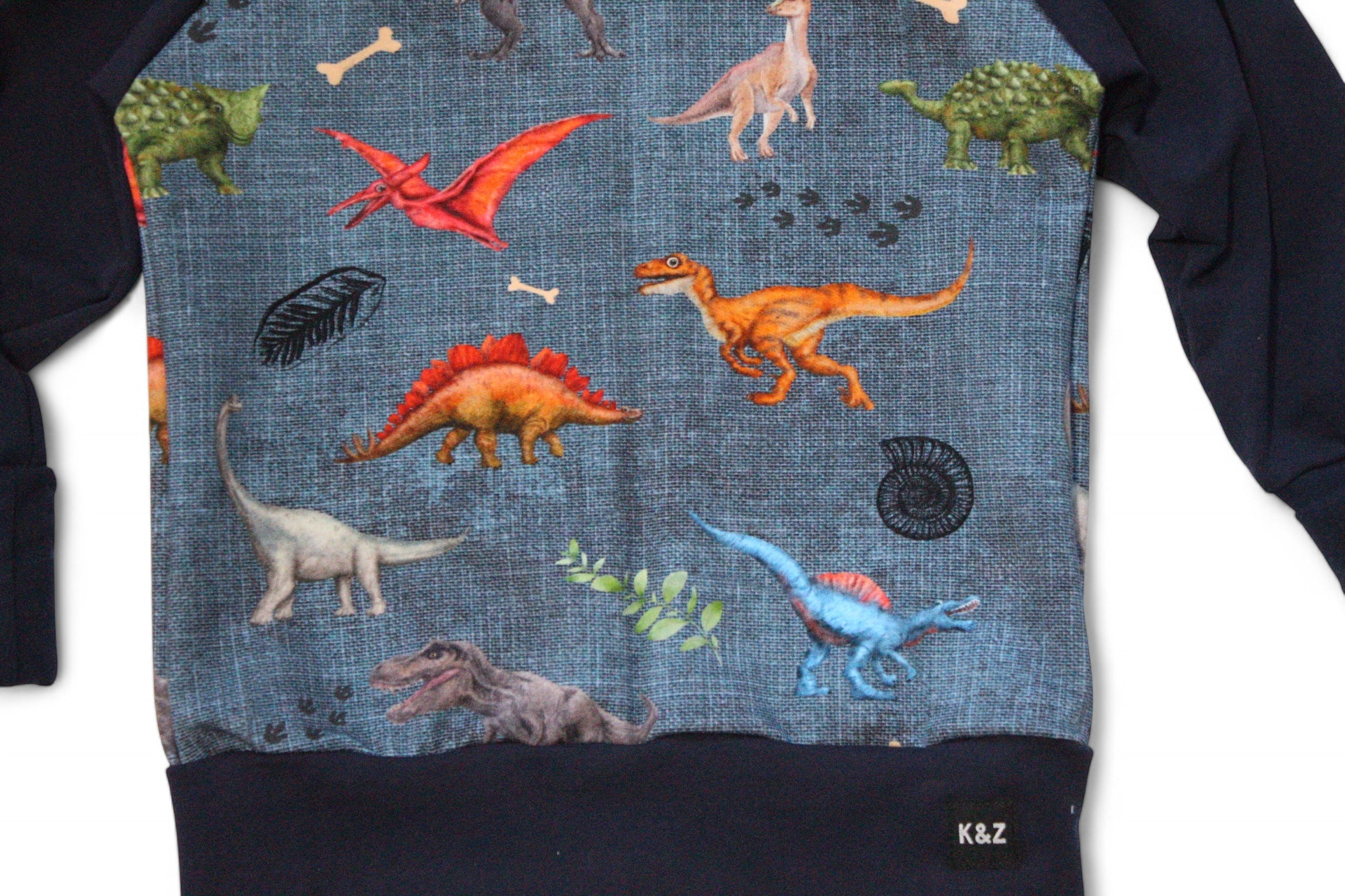 Vibrant Dino Hoodie - Grow With Me
