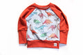 3-12m Retro Dino Sweater - Grow With Me
